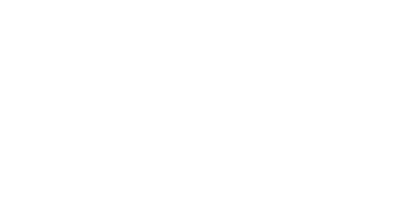 Boyu-1.png